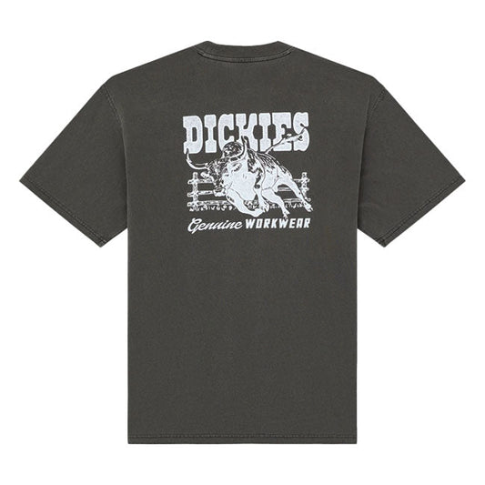 Dickies Buchtell t-shirt