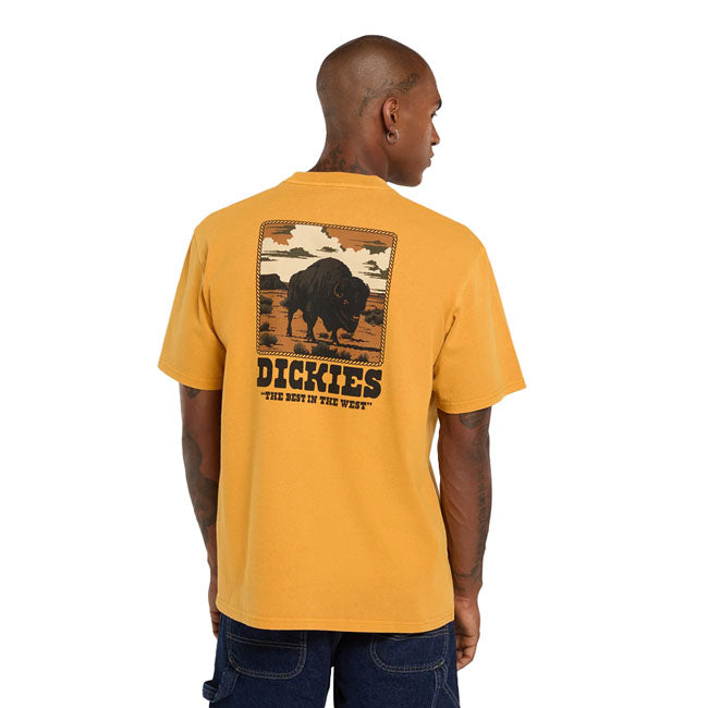 Dickies Darrtown t-shirt