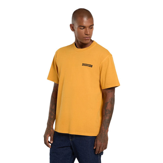 Dickies Darrtown t-shirt