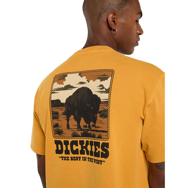 Dickies Darrtown t-shirt