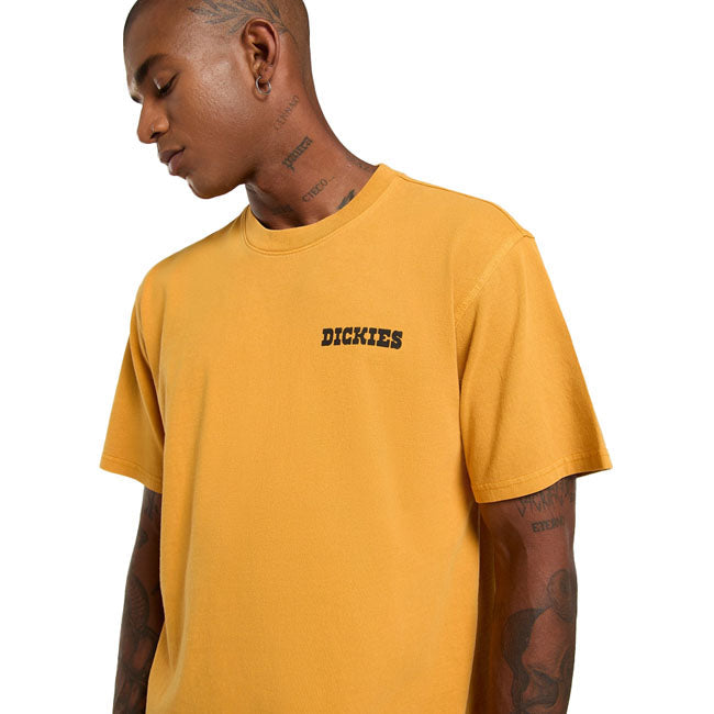 Dickies Darrtown t-shirt