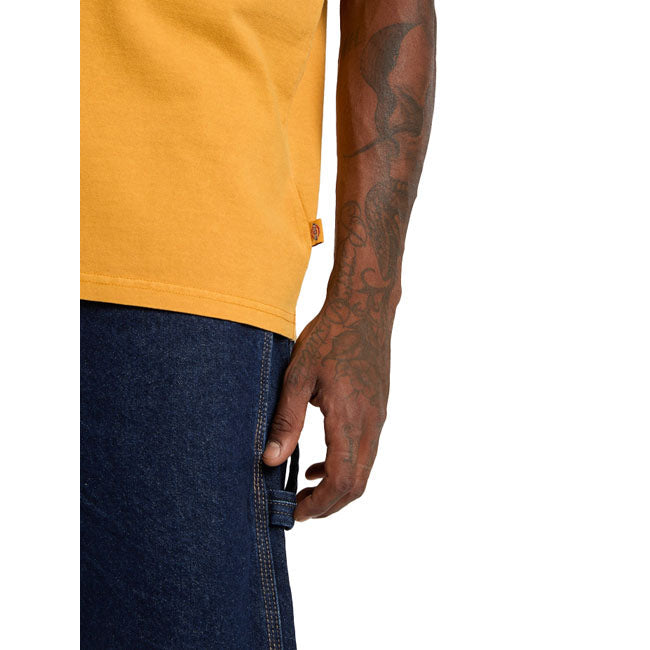 Dickies Darrtown t-shirt