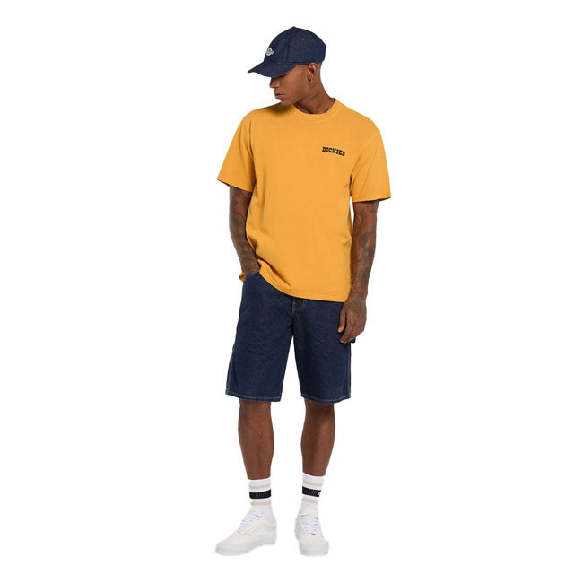Dickies Darrtown t-shirt