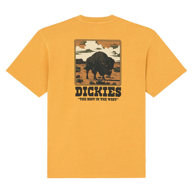 Dickies Darrtown t-shirt