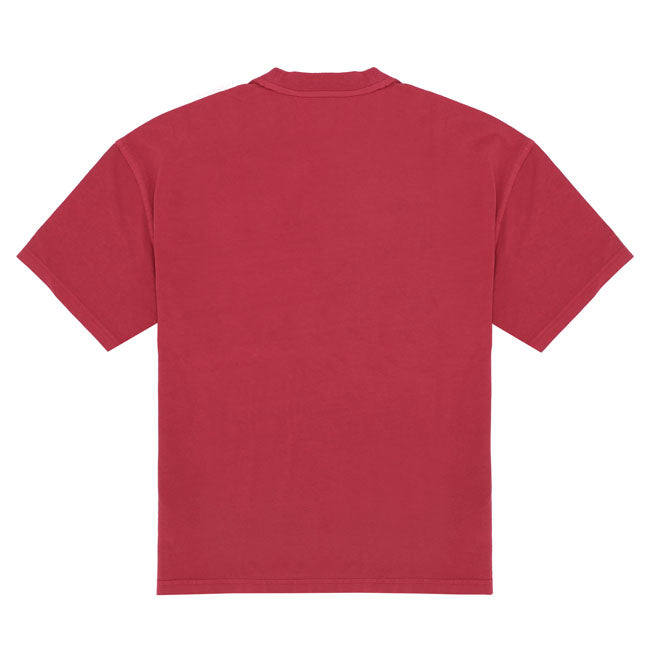 Dickies Plainville t-shirt
