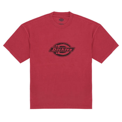 Dickies Plainville t-shirt