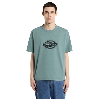 Dickies Plainville t-shirt