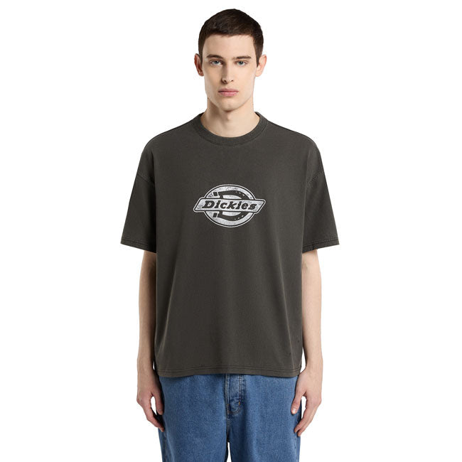 Dickies Plainville t-shirt
