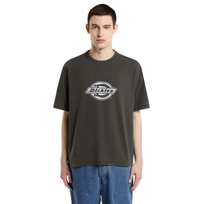 Dickies Plainville t-shirt