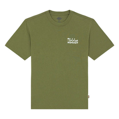 Dickies Vernal t-shirt