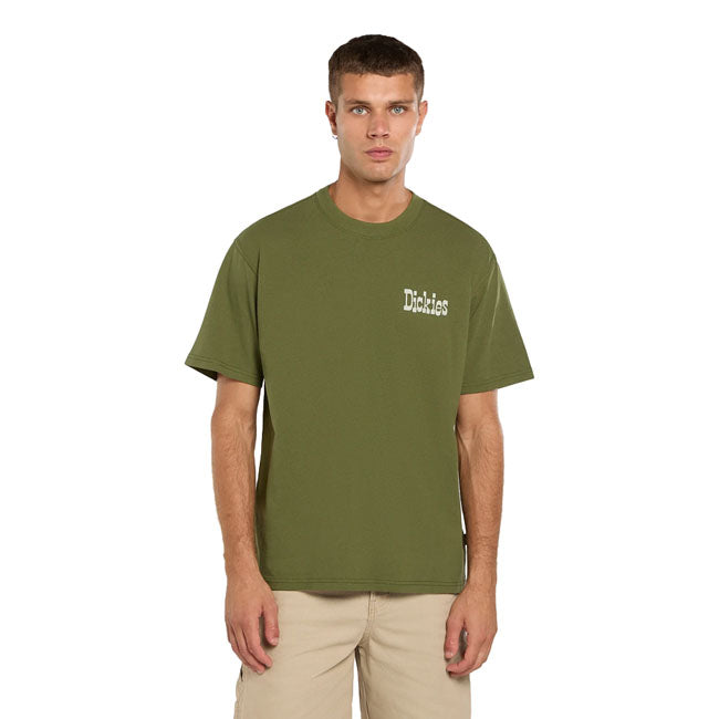 Dickies Vernal t-shirt