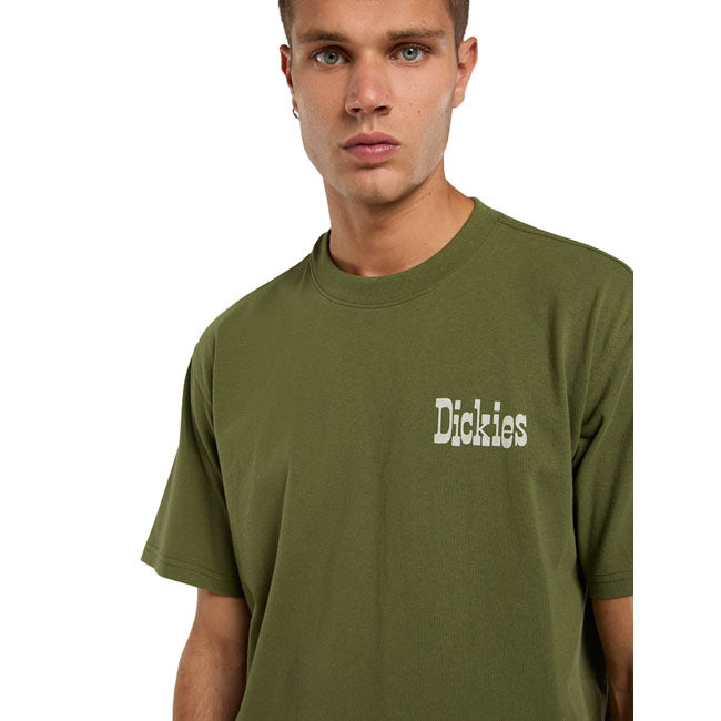 Dickies Vernal t-shirt
