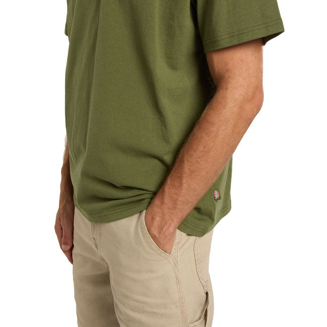 Dickies Vernal t-shirt