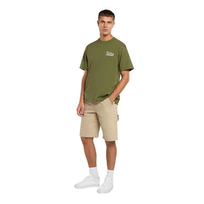 Dickies Vernal t-shirt