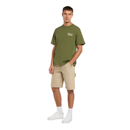 Dickies Vernal t-shirt