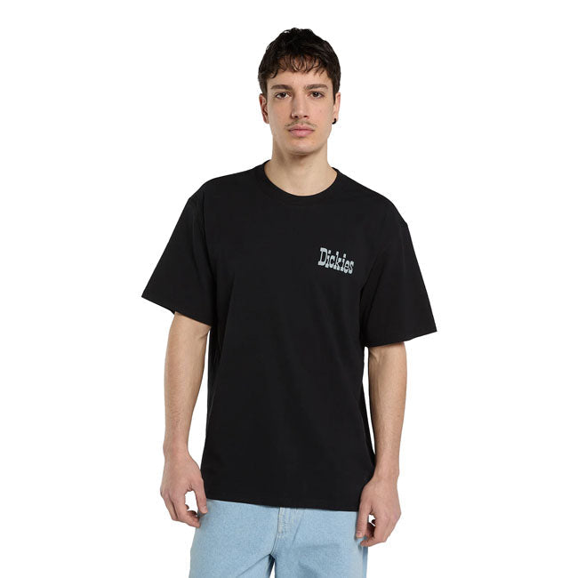 Dickies Vernal t-shirt