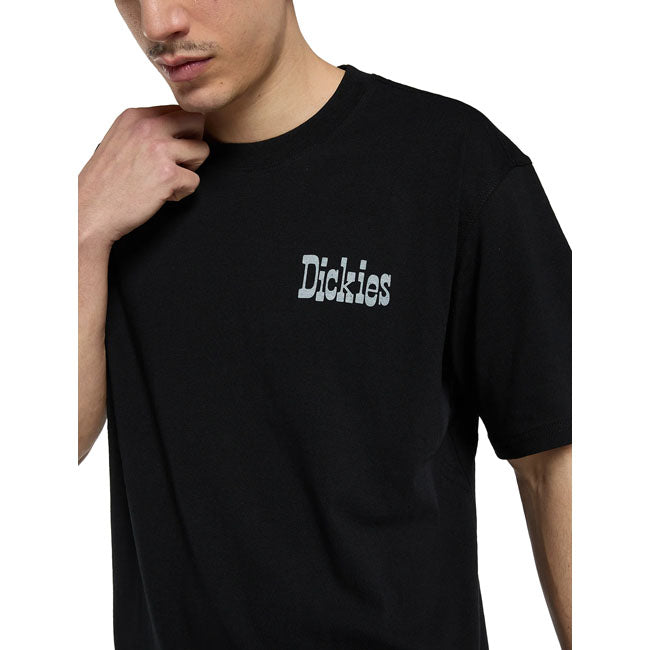 Dickies Vernal t-shirt