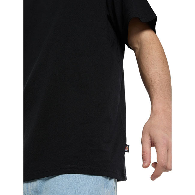 Dickies Vernal t-shirt