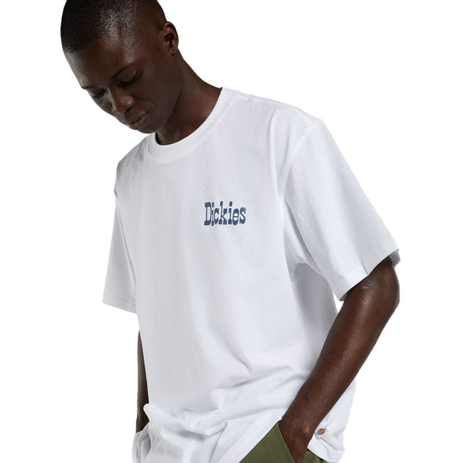 Dickies Vernal t-shirt