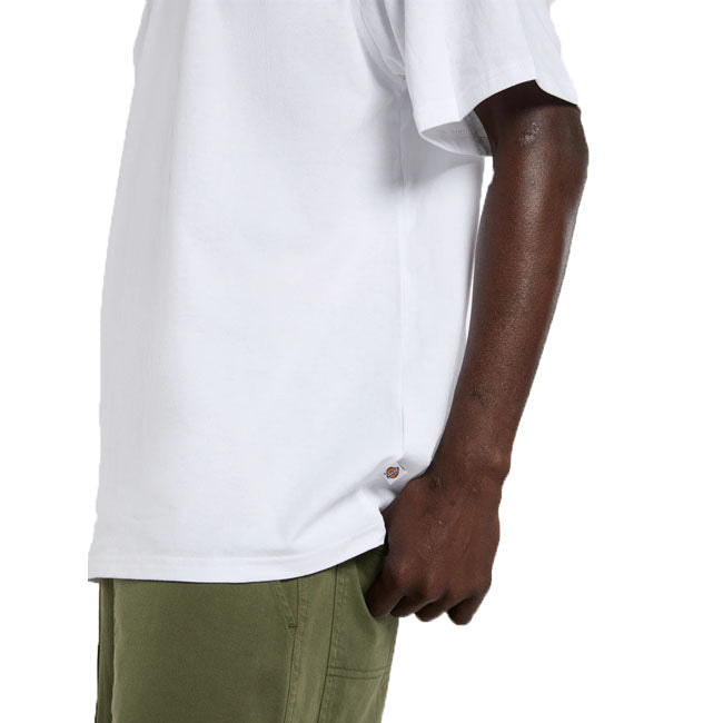 Dickies Vernal t-shirt