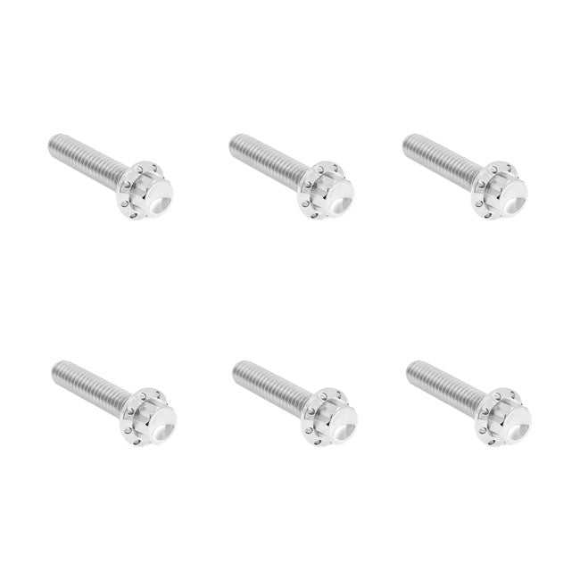 Arlen Ness, Titanium 12-Point Hardware Kit, Side Cover, Pol