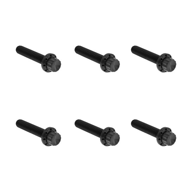 Arlen Ness, Titanium 12-Point Hardware Kit, Side Cover, Blac