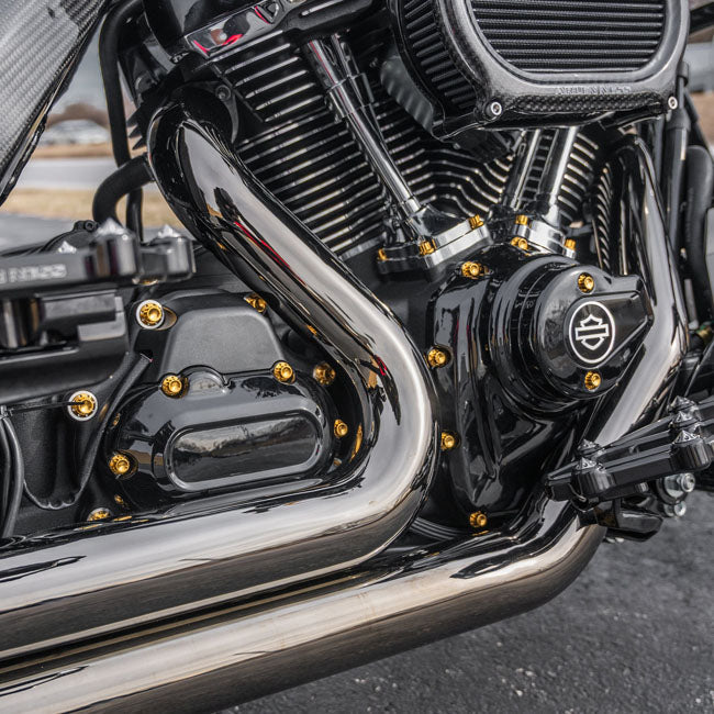 Arlen Ness, Titanium 12-Point Hardware Kit, Side Cover