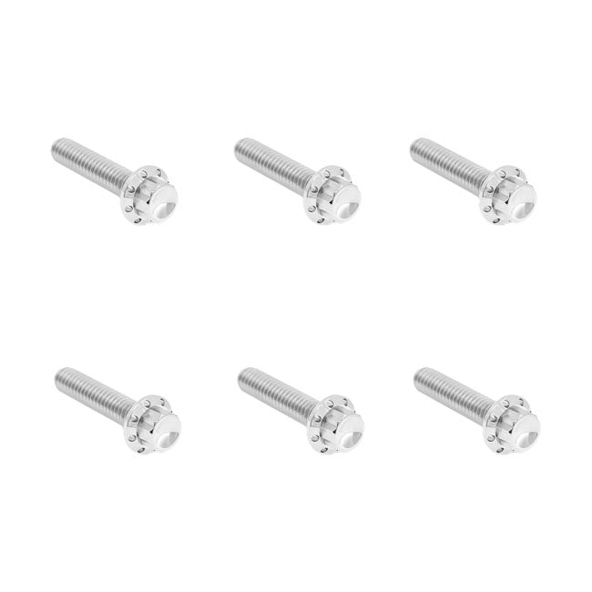 Arlen Ness, Titanium 12-Point Hardware Kit, Side Cover, Pol