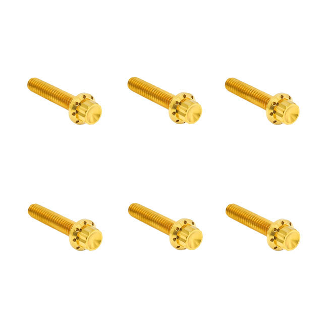 Arlen Ness, Titanium 12-Point Hardware Kit, Side Cover