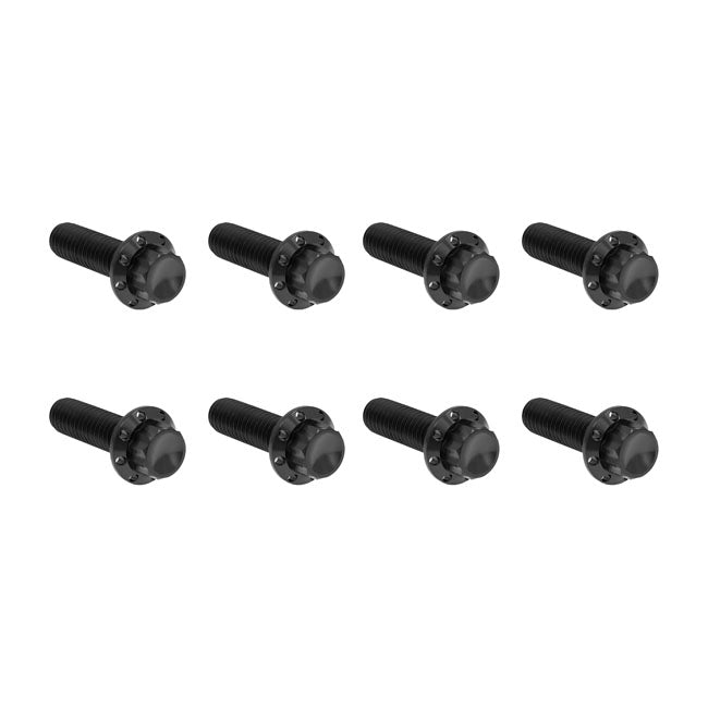 Arlen Ness, Titanium 12-Point Hardware Kit, Trap Door, Black