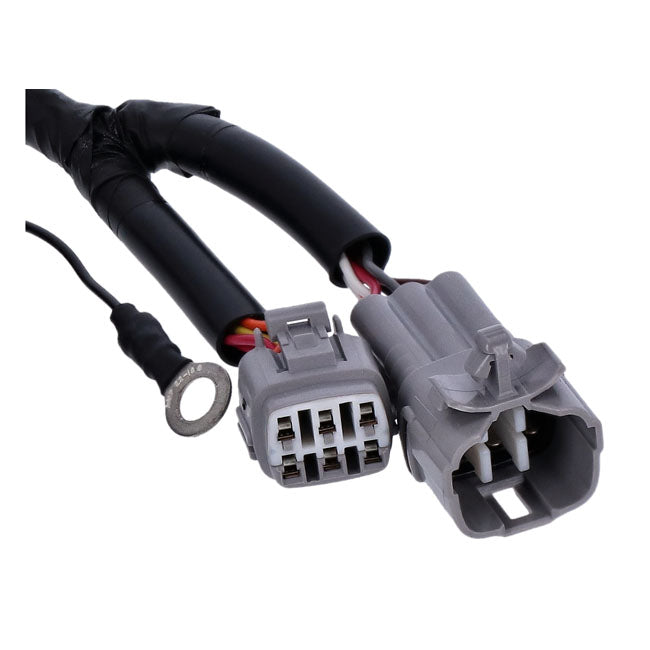 FI controller dynatek
