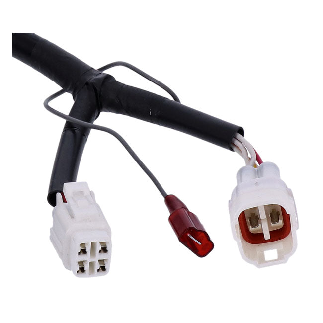FI controller dynatek