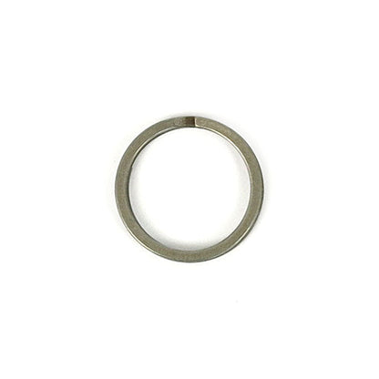 Retaining ring, shifter cam end