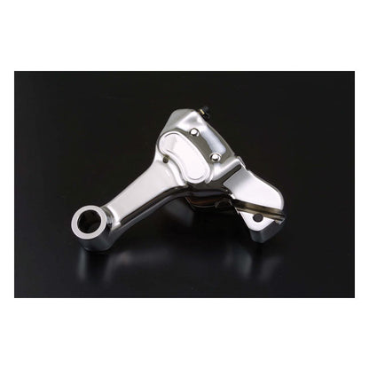 Brake caliper bracket assembly, rear