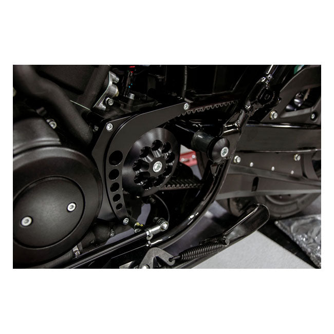 Free Spirits Boomerang pulley guard