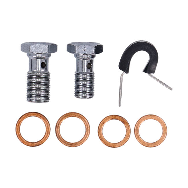 MCS by Goodridge brake line front, stainless clear coated