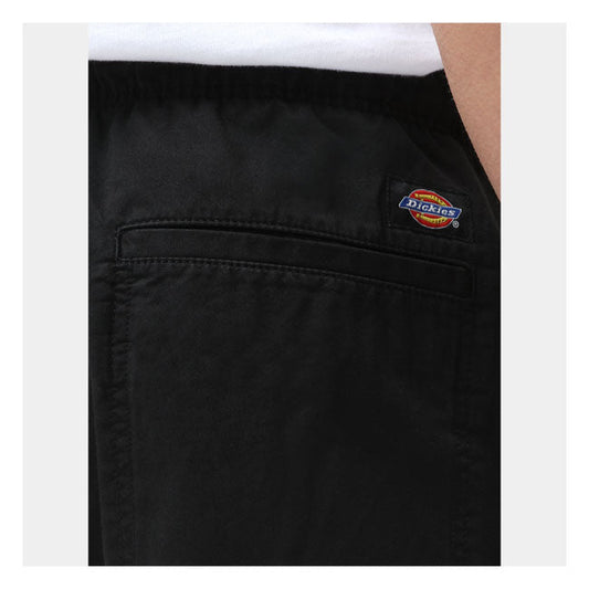 Dickies Pelican Rapids shorts