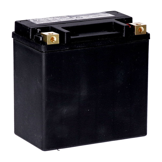 MCS, Standard Series AGM sealed battery 12v, 14ah 240cca
