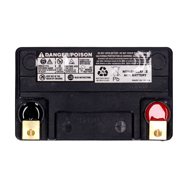 MCS, Standard Series AGM sealed battery 12v, 14ah 240cca