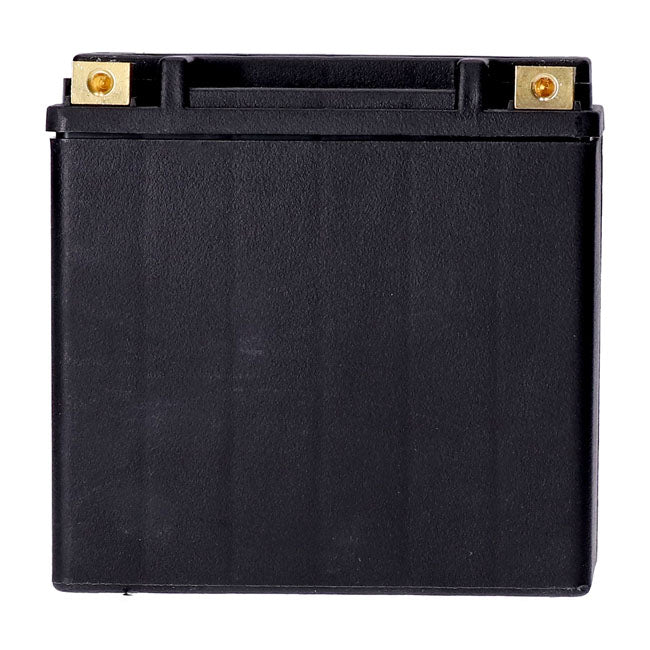 MCS, Standard Series AGM sealed battery 12v, 14ah 240cca