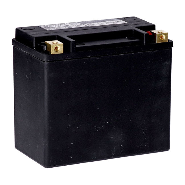 MCS, standard series AGM sealed battery 12v, 22ah 325cca