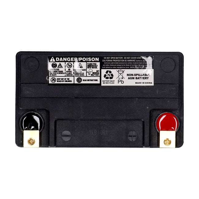 MCS, standard series AGM sealed battery 12v, 22ah 325cca