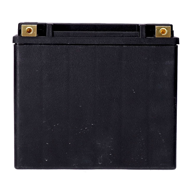 MCS, standard series AGM sealed battery 12v, 22ah 325cca