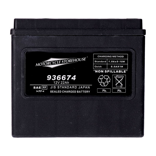 MCS, standard series AGM sealed battery 12v, 22ah 325cca