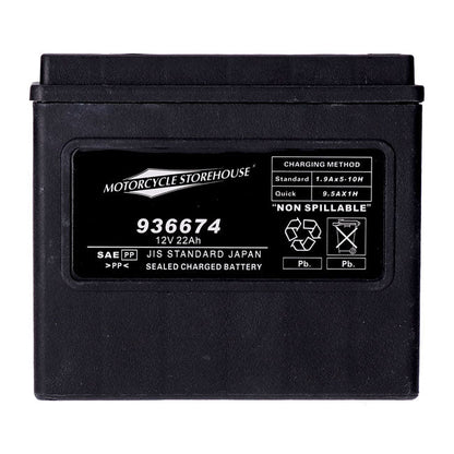 MCS, standard series AGM sealed battery 12v, 22ah 325cca