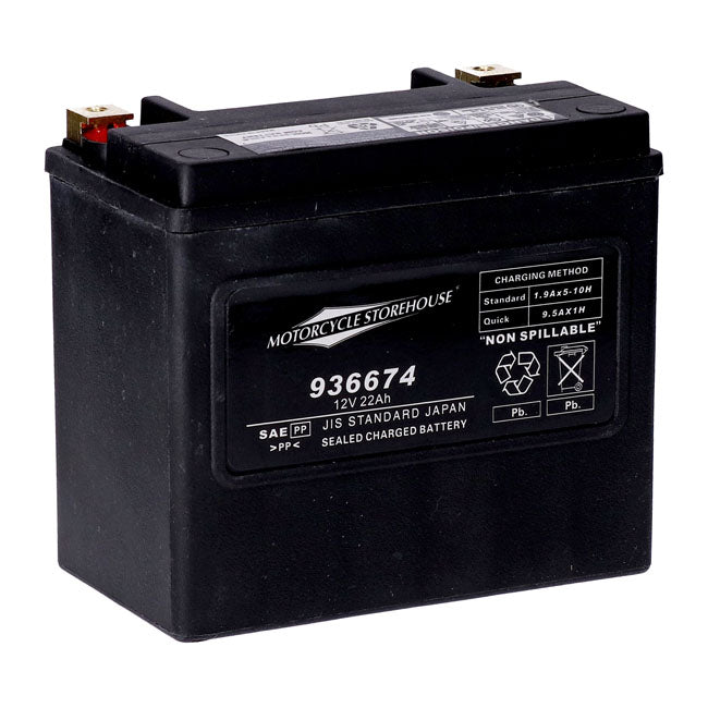 MCS, standard series AGM sealed battery 12v, 22ah 325cca