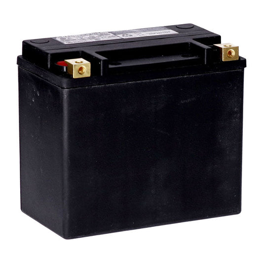 MCS, standard series AGM sealed battery 12v, 22ah 325cca