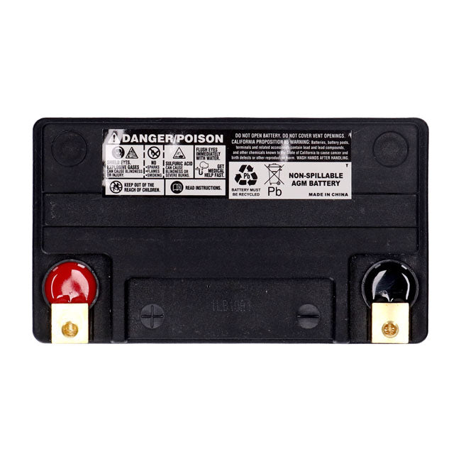 MCS, standard series AGM sealed battery 12v, 22ah 325cca