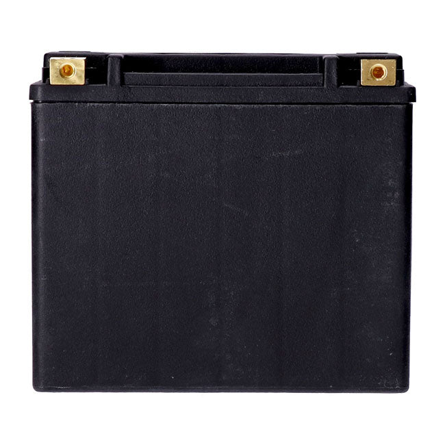 MCS, standard series AGM sealed battery 12v, 22ah 325cca