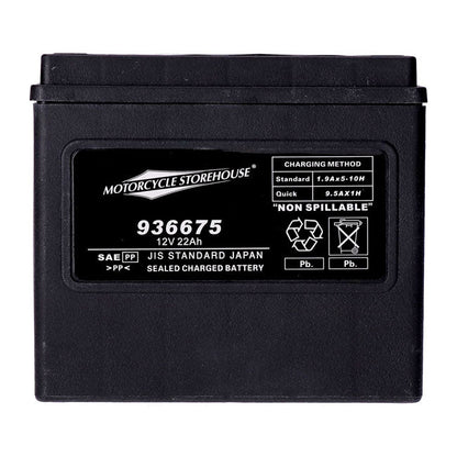 MCS, standard series AGM sealed battery 12v, 22ah 325cca